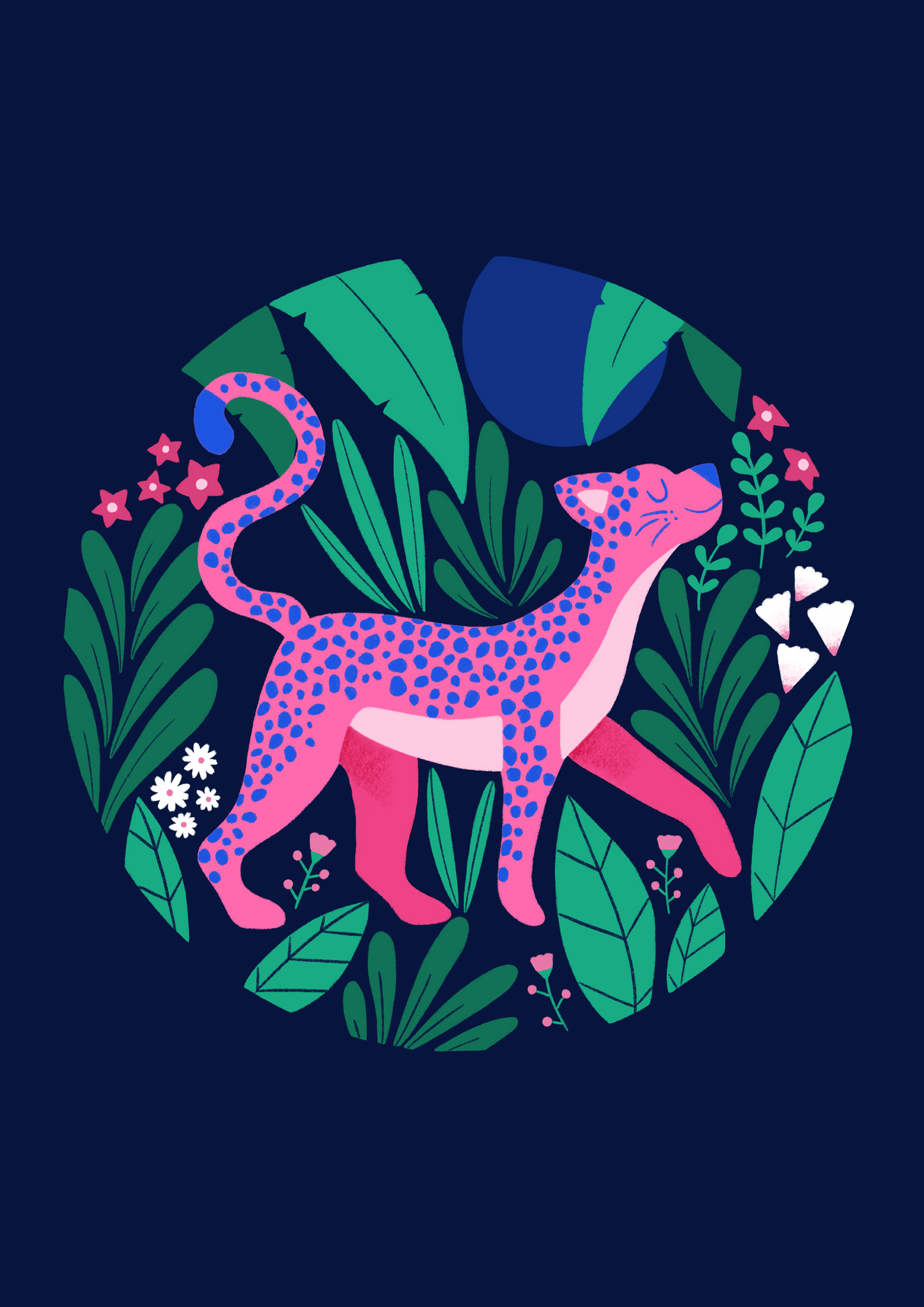 Affiche Pink Leo